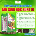 PHÂN BÓN SINH HỌC SIAMB 14 – LÂN SINH HỌC SUPE 16
