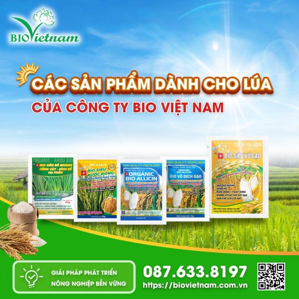 Các Sản Phẩm Dành Cho Lúa Của Công Ty Bio Việt Nam