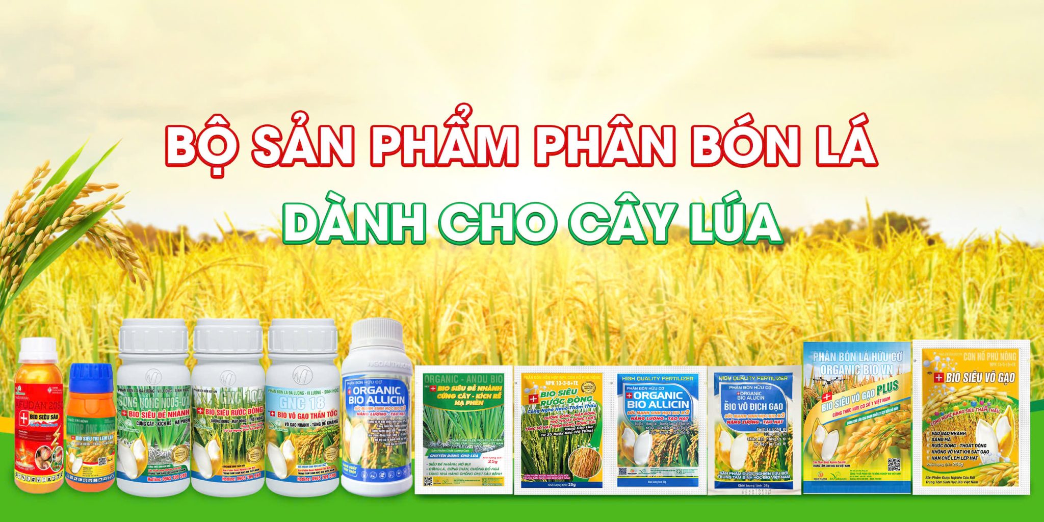 Công Ty TNHH Xuất Nhập Khẩu Thương Mại Dịch Vụ Ngoại Thương