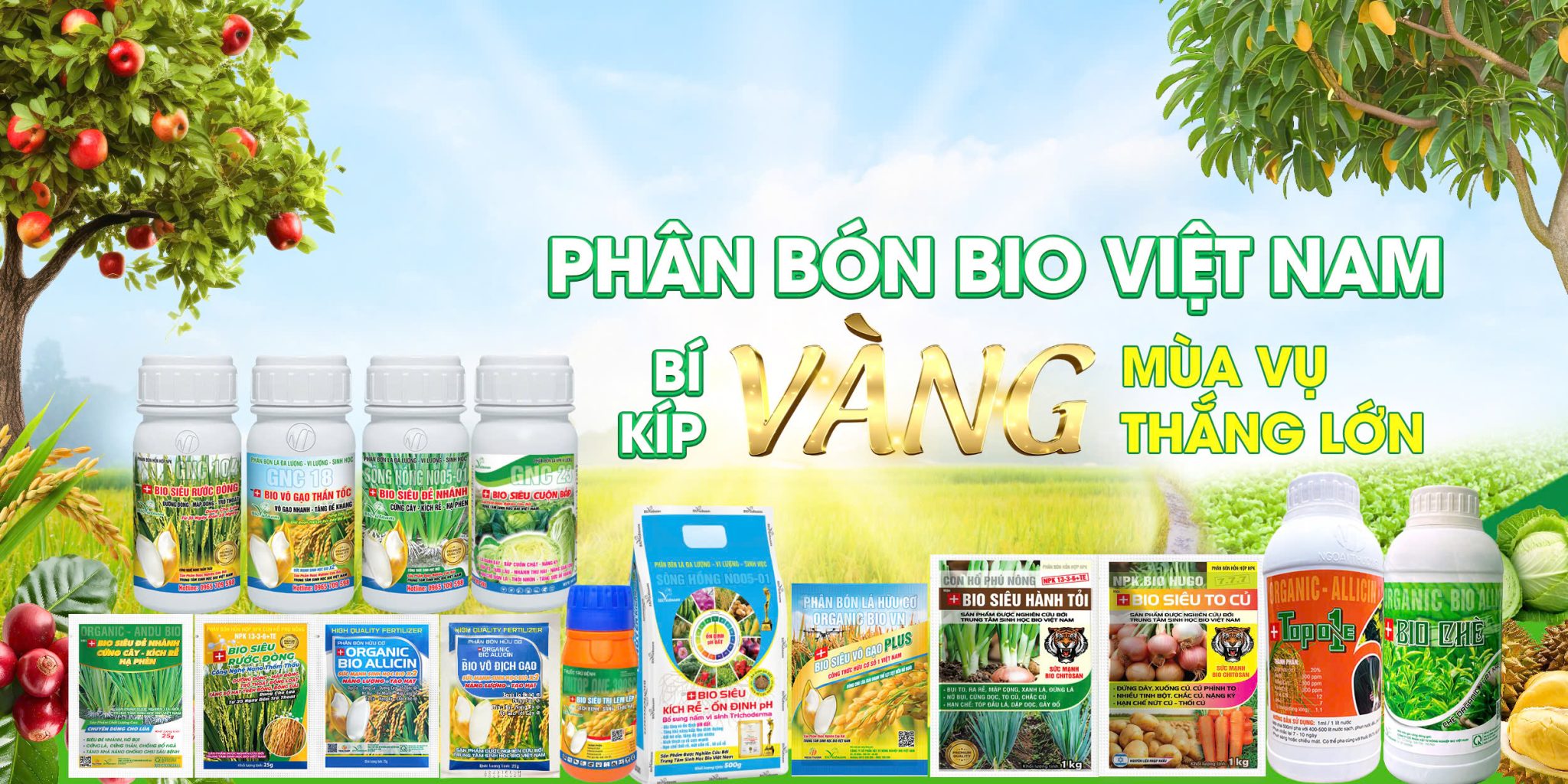 Công Ty TNHH Xuất Nhập Khẩu Thương Mại Dịch Vụ Ngoại Thương