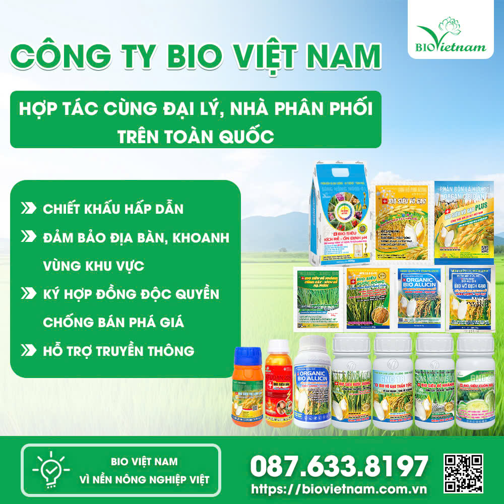 CÔNG TY TNHH XUẤT NHẬP KHẨU THƯƠNG MẠI DỊCH VỤ NGOẠI THƯƠNG