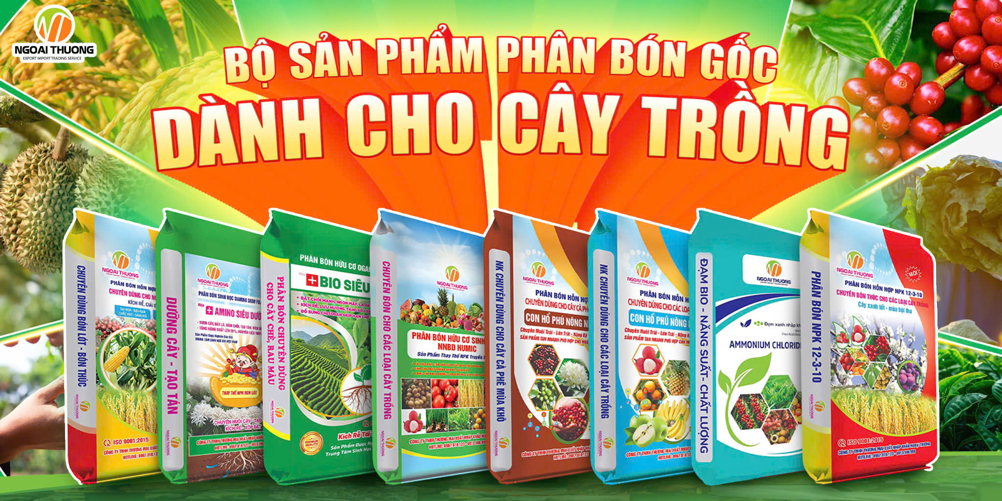 Công Ty TNHH Xuất Nhập Khẩu Thương Mại Dịch Vụ Ngoại Thương