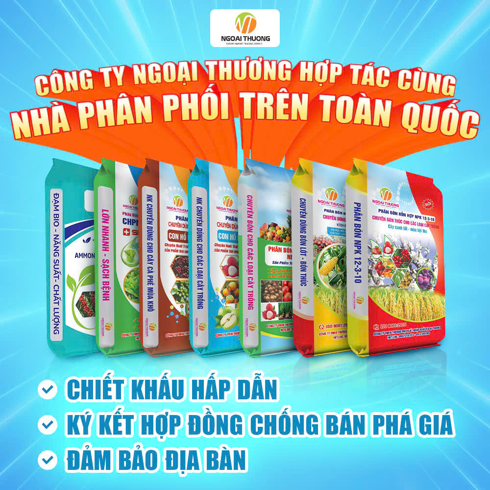 CÔNG TY TNHH XUẤT NHẬP KHẨU THƯƠNG MẠI DỊCH VỤ NGOẠI THƯƠNG