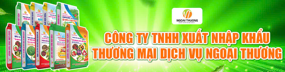 Công Ty TNHH Xuất Nhập Khẩu Thương Mại Dịch Vụ Ngoại Thương