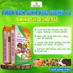 PHÂN BÓN SINH HỌC SIAMB 14 AMINO SIÊU LỚN TRÁI