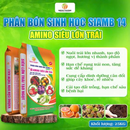 PHÂN BÓN SINH HỌC SIAMB 14 AMINO SIÊU LỚN TRÁI