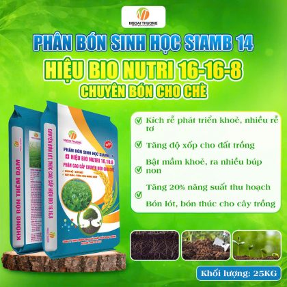 Phân bón sinh học SIAMB 14 – hiệu Bio Nutri 16-16-8 – chuyên dùng cho Chè