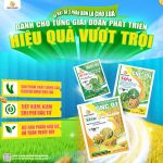 Bộ 3 sản phẩm chuyên dùng cho lúa: tăng năng suất, tiết kiệm chi phí