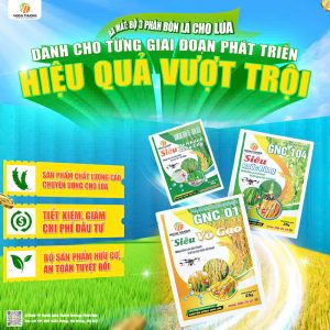 Bộ 3 sản phẩm chuyên dùng cho lúa: tăng năng suất, tiết kiệm chi phí
