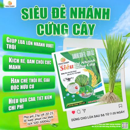 Siêu Đẻ Nhánh Cứng Cây – Giải Pháp Giúp Lúa Đẻ Nhánh Khỏe, Bộ Rễ Phát Triển Mạnh