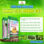 Phân bón sinh học Amino siêu dưỡng cây