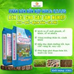 PHÂN BÓN HỖN HỢP NPK.S:8.7.4.9S CHUYÊN DÙNG BÓN LÓT CHO CÂY LÂM NGHIỆP