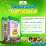 Phân bón Nhả Chậm Thần Tài Cao Cấp