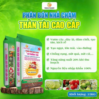 Phân bón Nhả Chậm Thần Tài Cao Cấp