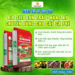 NPK 15-5-15+TE Bio Siêu Lớn Trái – Nặng Ký Chuyên dùng cho cây cà phê