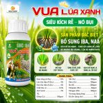 Vua Lúa Xanh – Kích Rễ, Nở Bụi, Cứng Cây Cho Lúa Phát Triển Mạnh