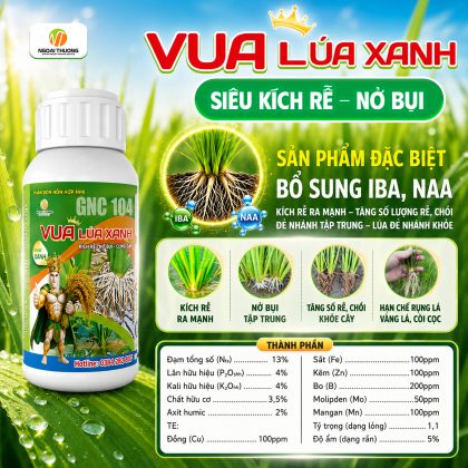Vua Lúa Xanh – Kích Rễ, Nở Bụi, Cứng Cây Cho Lúa Phát Triển Mạnh