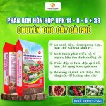 Phân Bón Hỗn Hợp NPK 14-8-6+3S Chuyên Dùng Cho Cây Cà Phê
