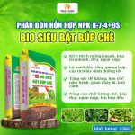 Bio Siêu Bật Búp Chè NPK 8-7-4+9S