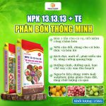 PHÂN BÓN THÔNG MINH NPK 13-13-13+TE