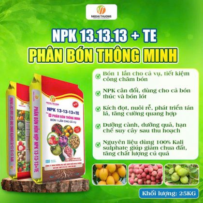 PHÂN BÓN THÔNG MINH NPK 13-13-13+TE