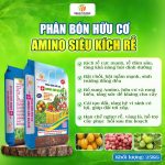 PHÂN BÓN HỮU CƠ AMINO SIÊU KÍCH RỄ – RỄ KHỎE, CÂY PHÁT TRIỂN BỀN VỮNG