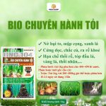 Bio Chuyên Hành Tỏi – Dinh dưỡng cân đối cho cây hành, tỏi